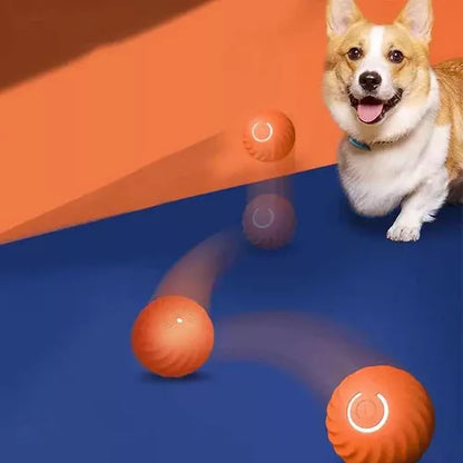 EnerJoyBall™ | Mantén Entretenido y en Forma a Tú Mascota